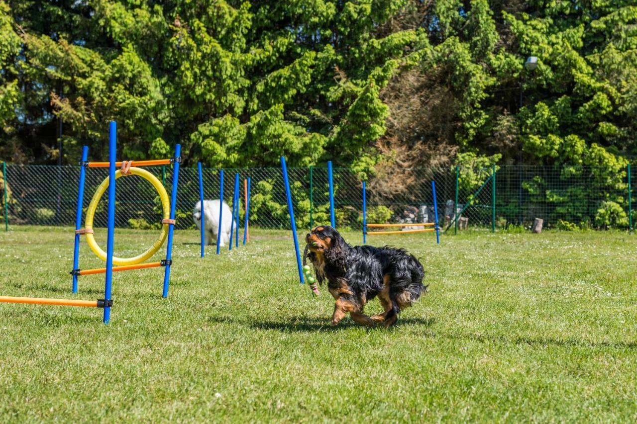 Domy Morskie Dog Friendly ยานตาร์ ภายนอก รูปภาพ