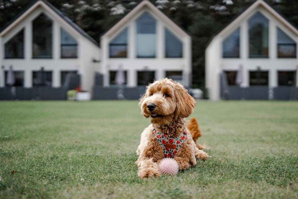 Domy Morskie Dog Friendly ยานตาร์ ภายนอก รูปภาพ